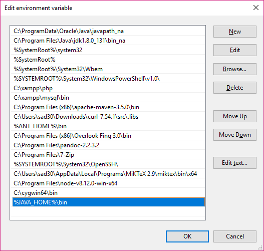 Edit Environment Variable